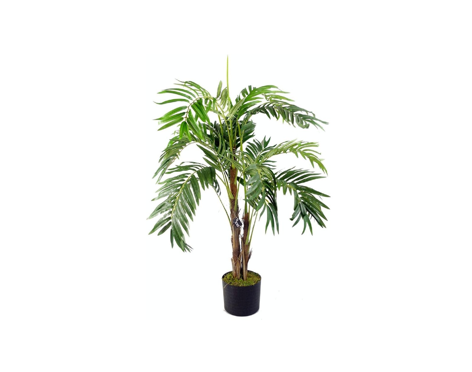 718pu9IgRrS._AC_SL1500_